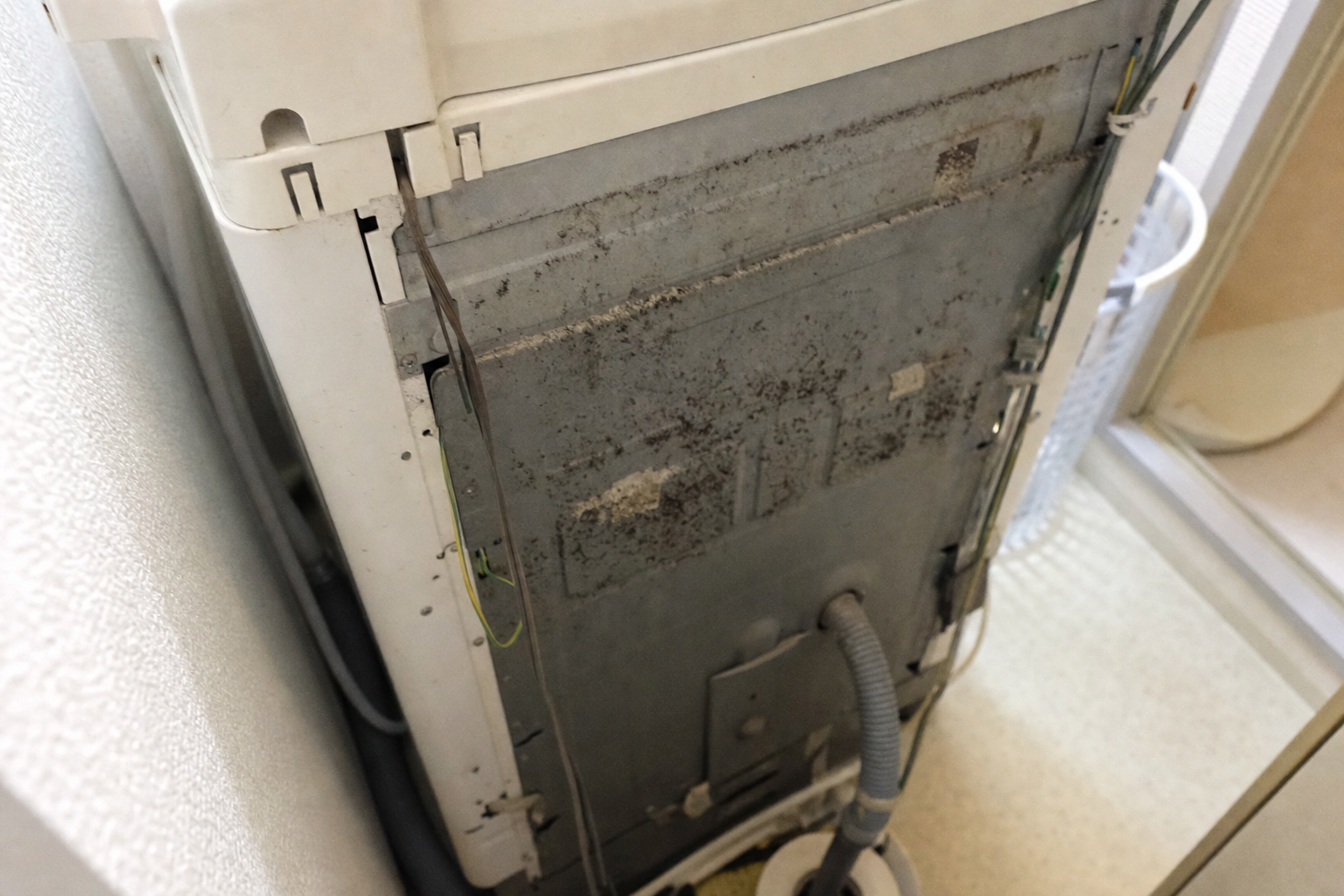 裏側にカビが繁殖している洗濯機