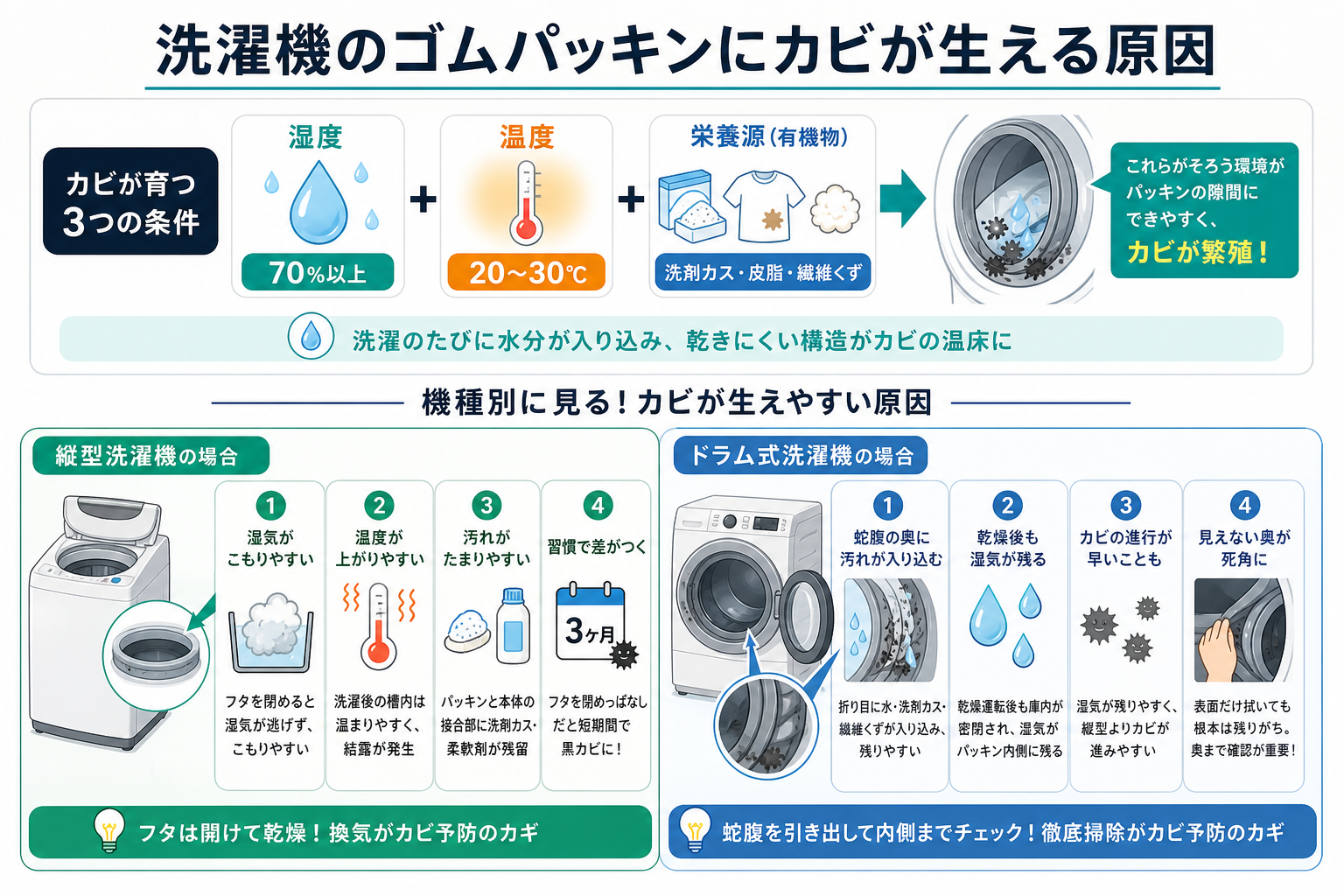 洗濯機のゴムパッキンにカビが生える原因